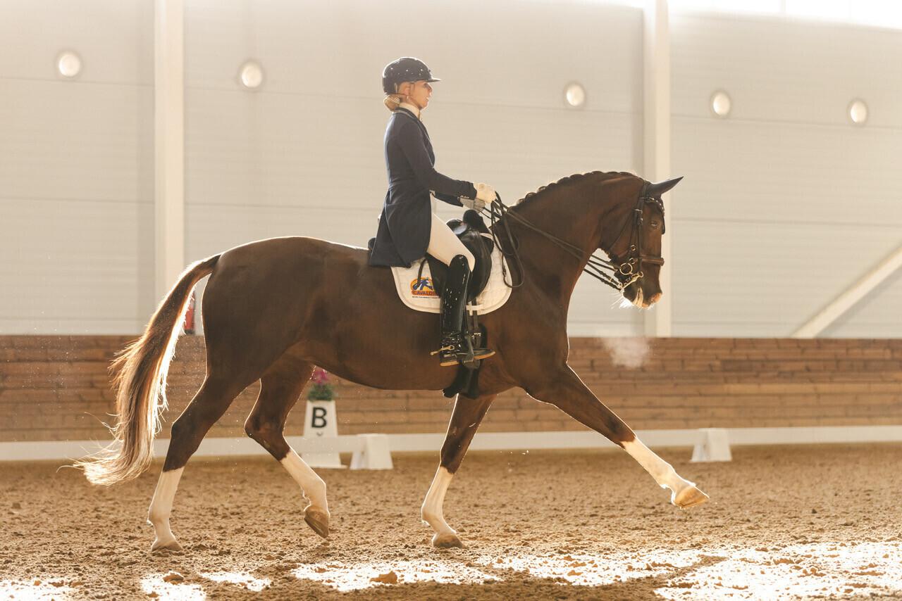 Dina Ellermann ja Donna Anna