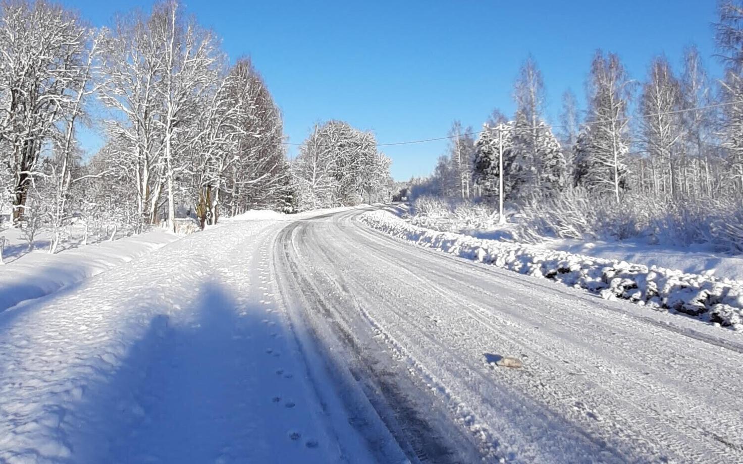 Winter weather in Pǎrnu County on November 23, 2024.