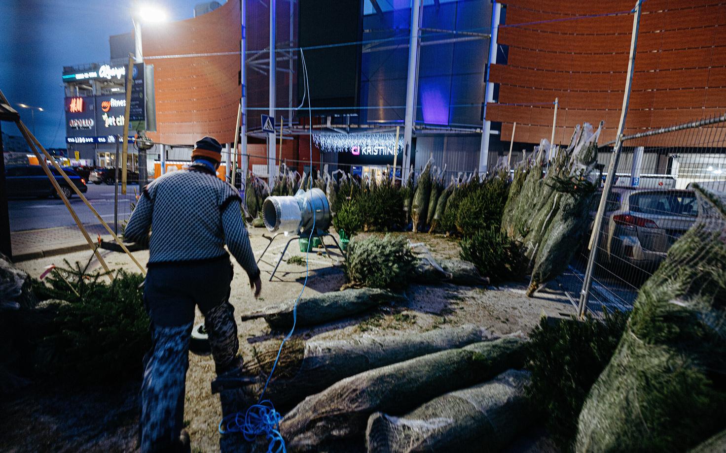 Jõulupuude müük kaubanduskeskuse parklas