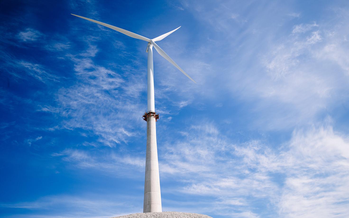 Ветропарк. Иллюстративная фотография.