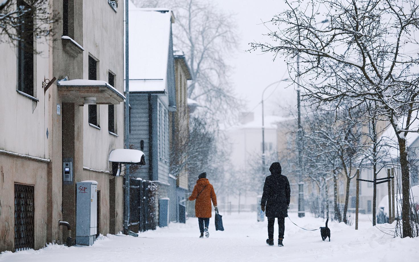 Заснеженный Таллинн.