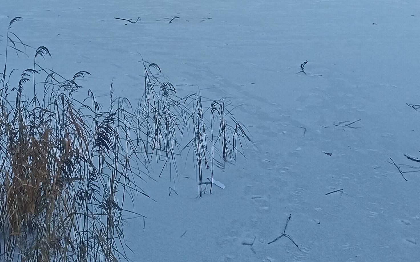 Выходить на тонкий лед крайне опасно, предупреждают спасатели.