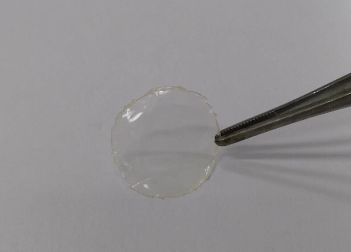 Keemiliselt lagundatav polümeerikile, mille lähteaineks on sidrunhape.