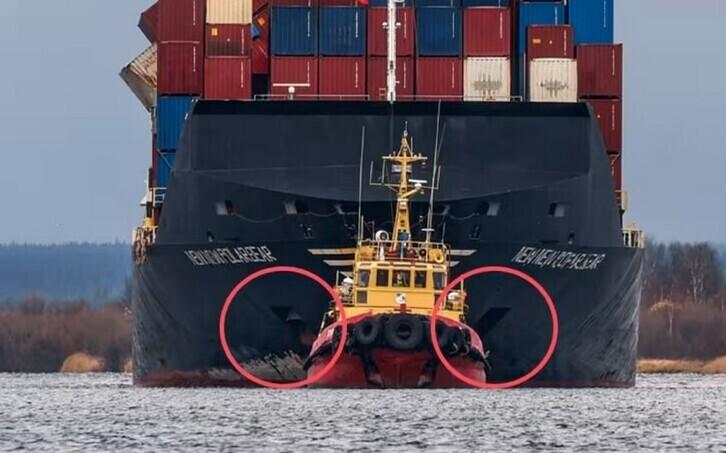 Newnew Polar Bear Arhangelskis ning vasak ankur on puudu