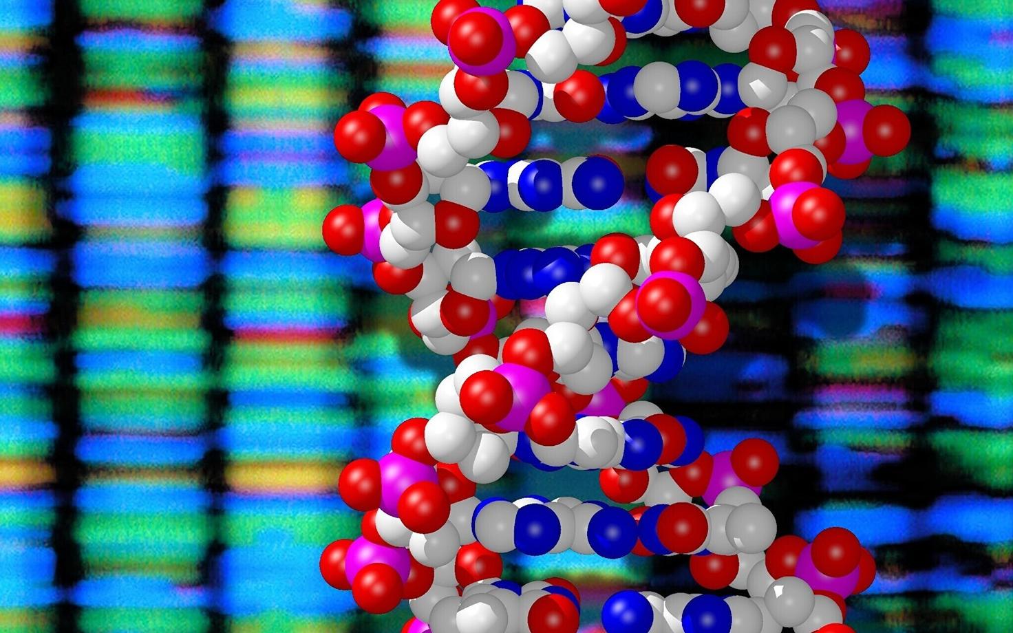 Teadlased sihtisid katsetes geene, mis on seotud pärilike haigustega nagu Fanconi aneemia, Rett'i sündroom, fenüülketonuuria ja X-liiteline raske kombineeritud immuunpuudulikkus.