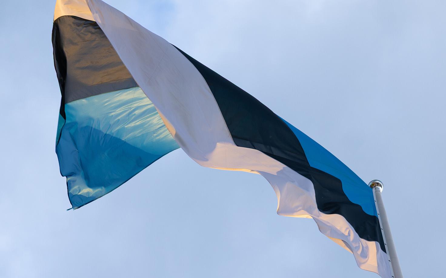 Флаг Эстонии.