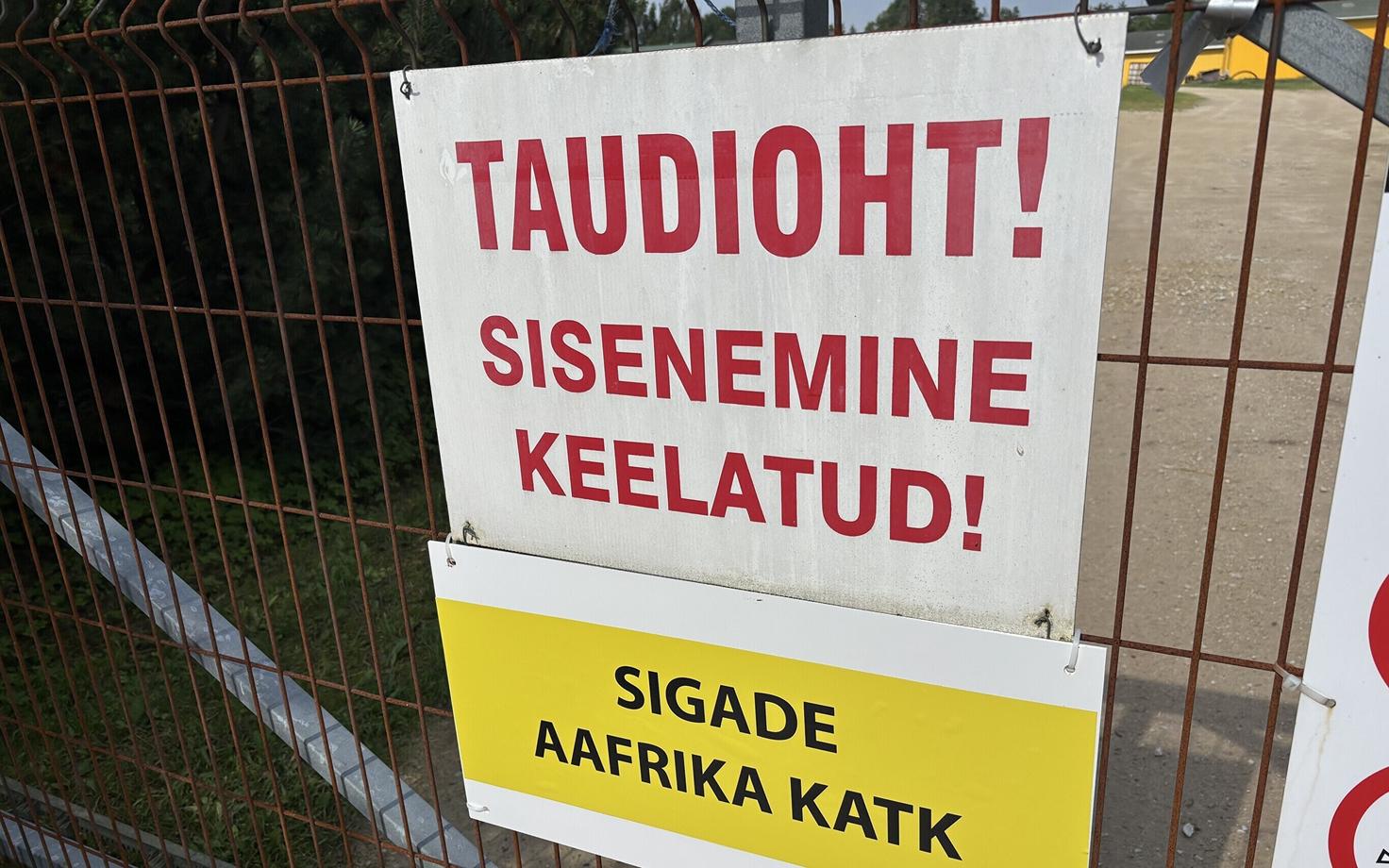 Saimre Seakasvatuse osaühingu Nurme sigala Viljandi vallas Kannukülas.