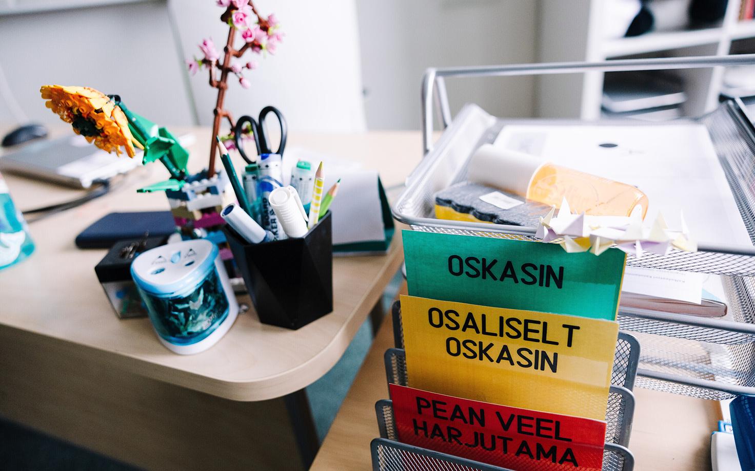 Школа. Иллюстративная фотография.