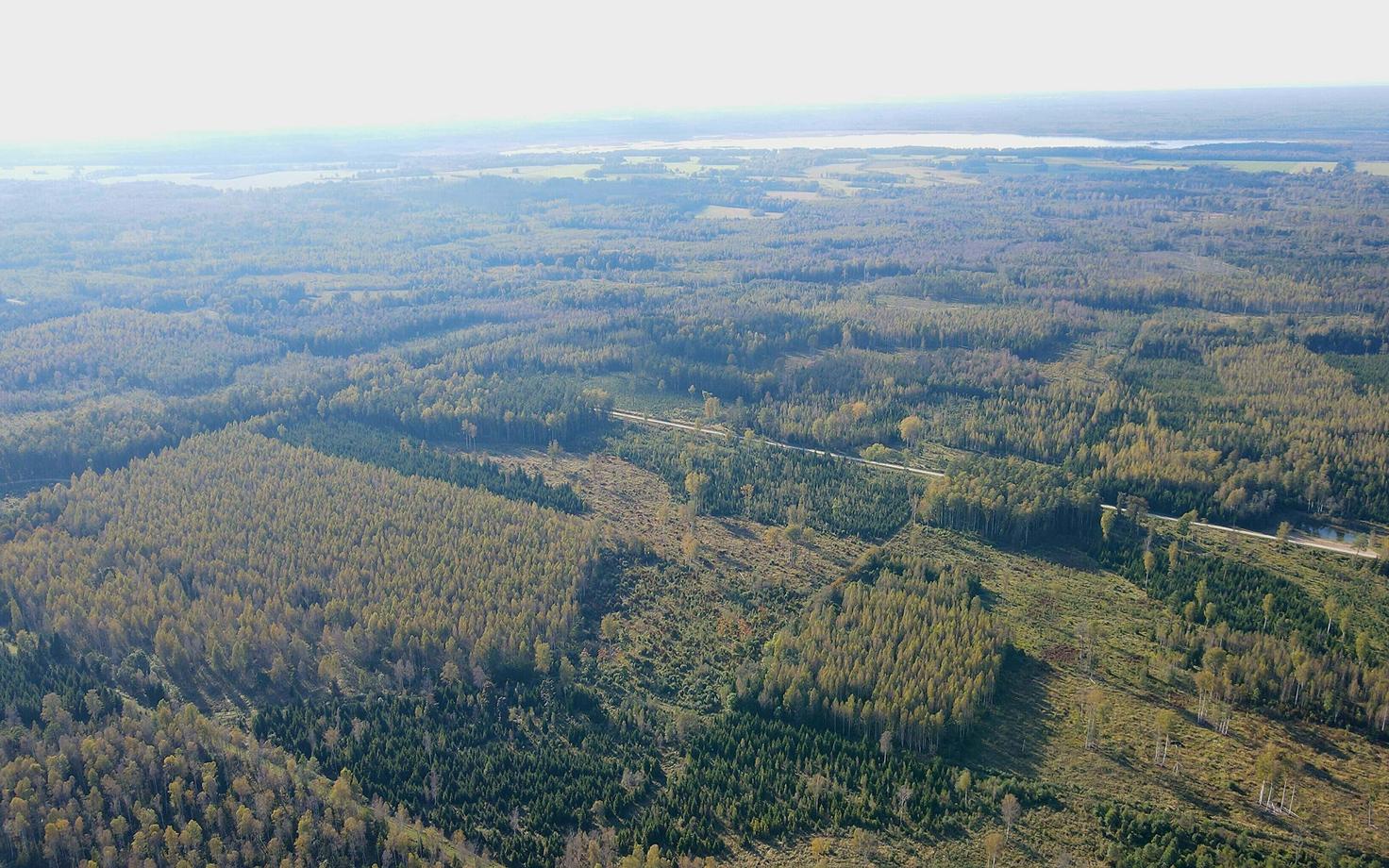 Территория оборонно-промышленного парка в Пярнумаа.