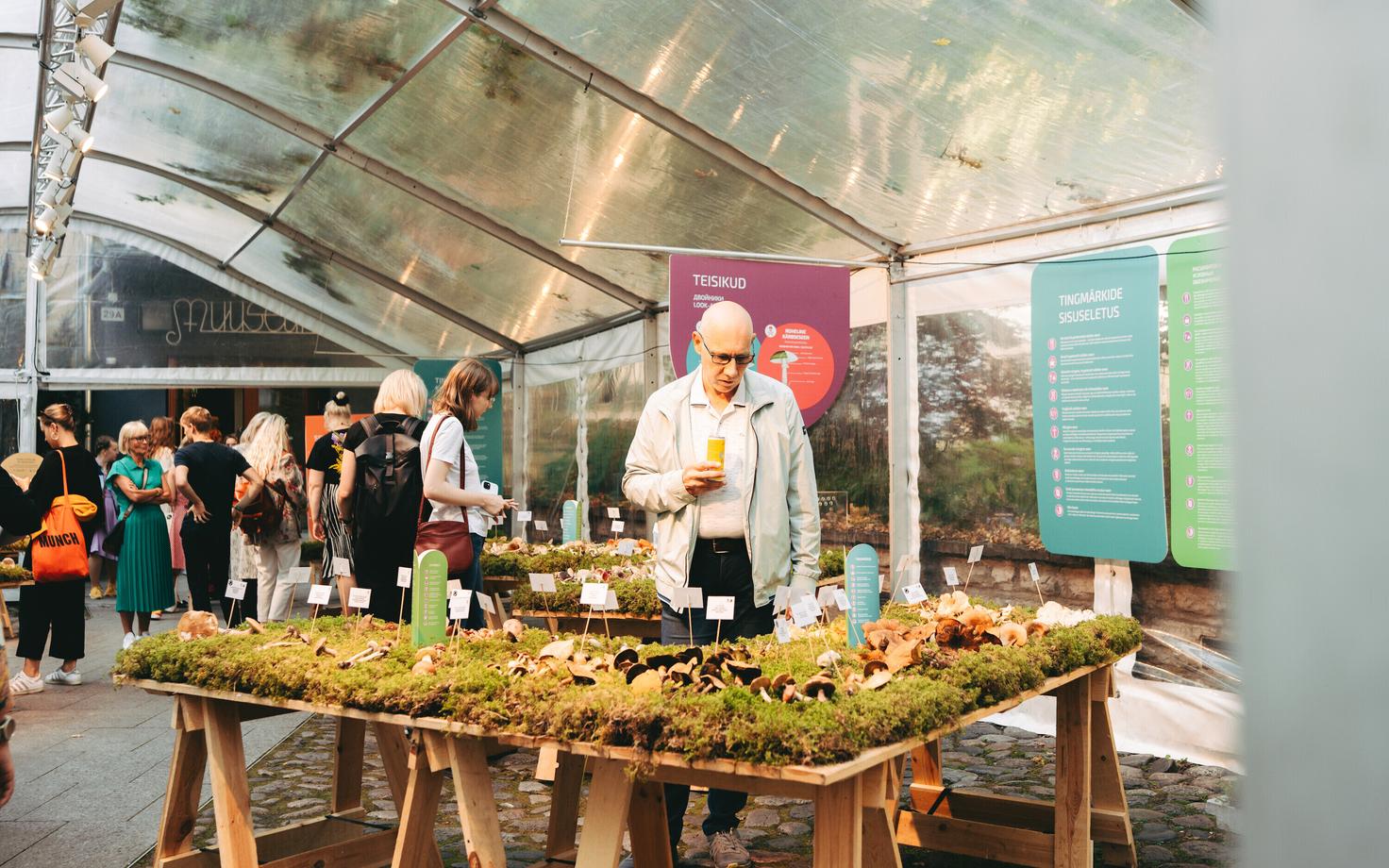 Loodusmuuseumi seenenäitus kogus tänavu üle 6100 külastuse.