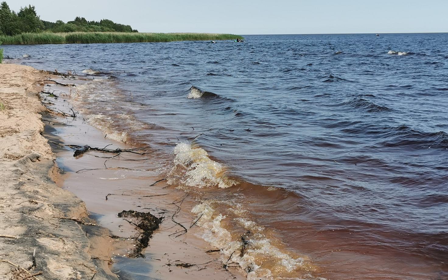 Чудское озеро. Иллюстративная фотография.
