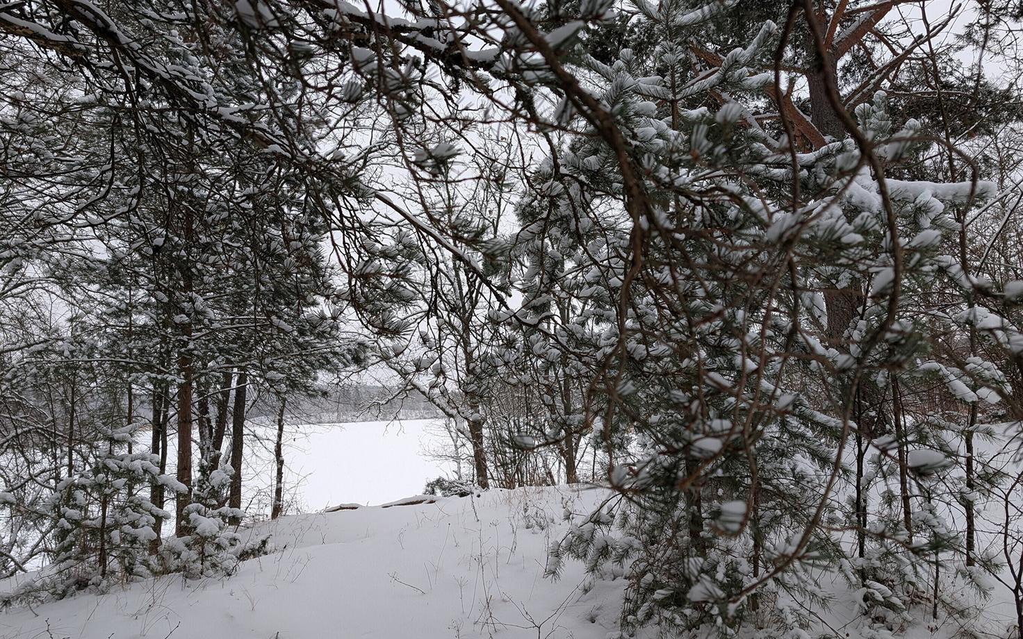 Иллюстративная фотография.