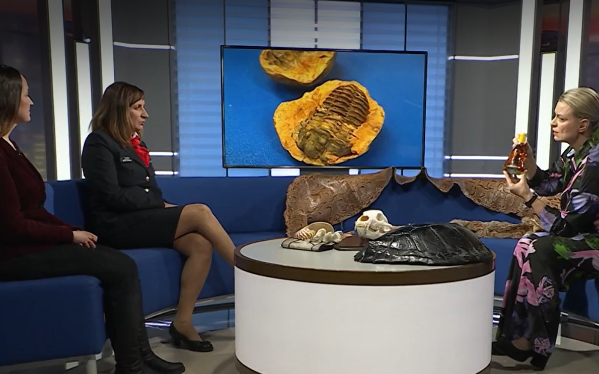 Элика Бросман и Карин Труувер в студии Ringvaade.