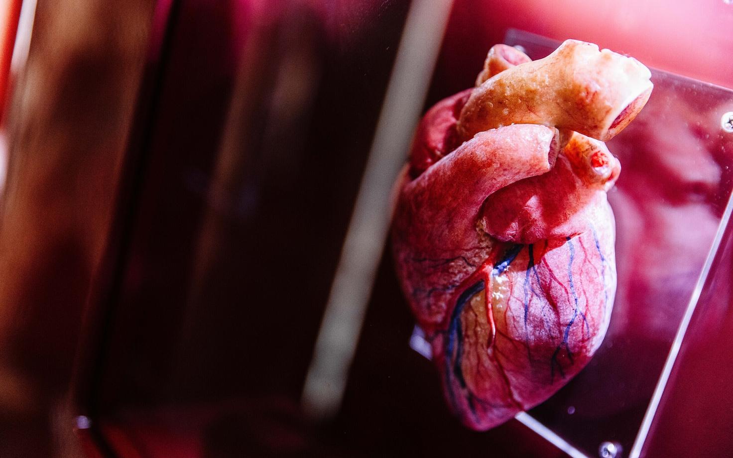 Leid võiks aidata teadlastel edaspidi luua tõhusamaid vererõhuravimeid.