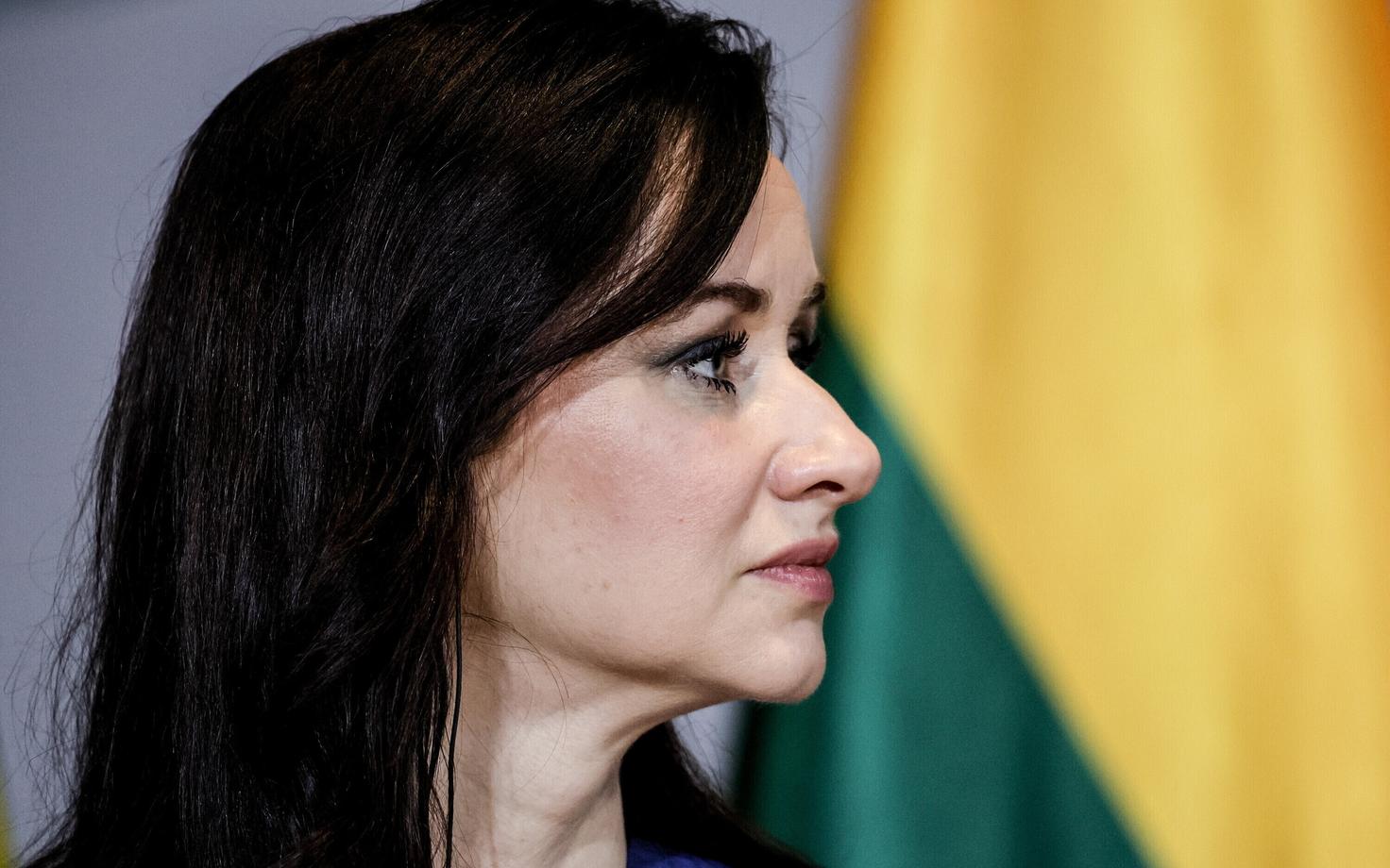 Премьер-министр Литвы Инга Ругинене.