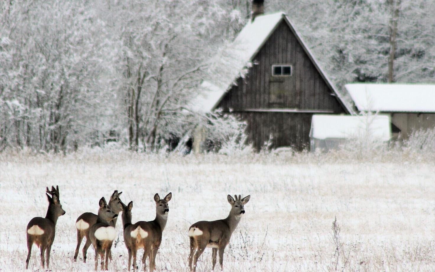 Иллюстративная фотография.