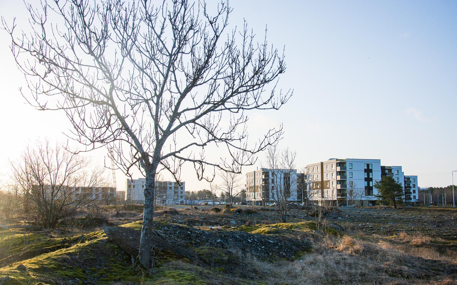Suur hulk IT-valdkonna töötajaid elab samuti palju Tallinnas ja Tartus, aga veel rohkem kipuvad nad koonduma mõlema linna lähivaldadesse.