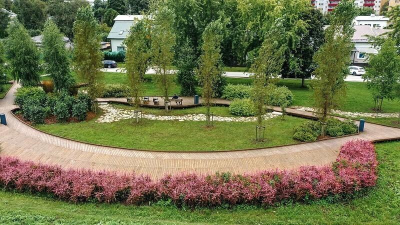 Японский мини-лес в Кристийне, созданный в рамках народного бюджета в 2021 году.