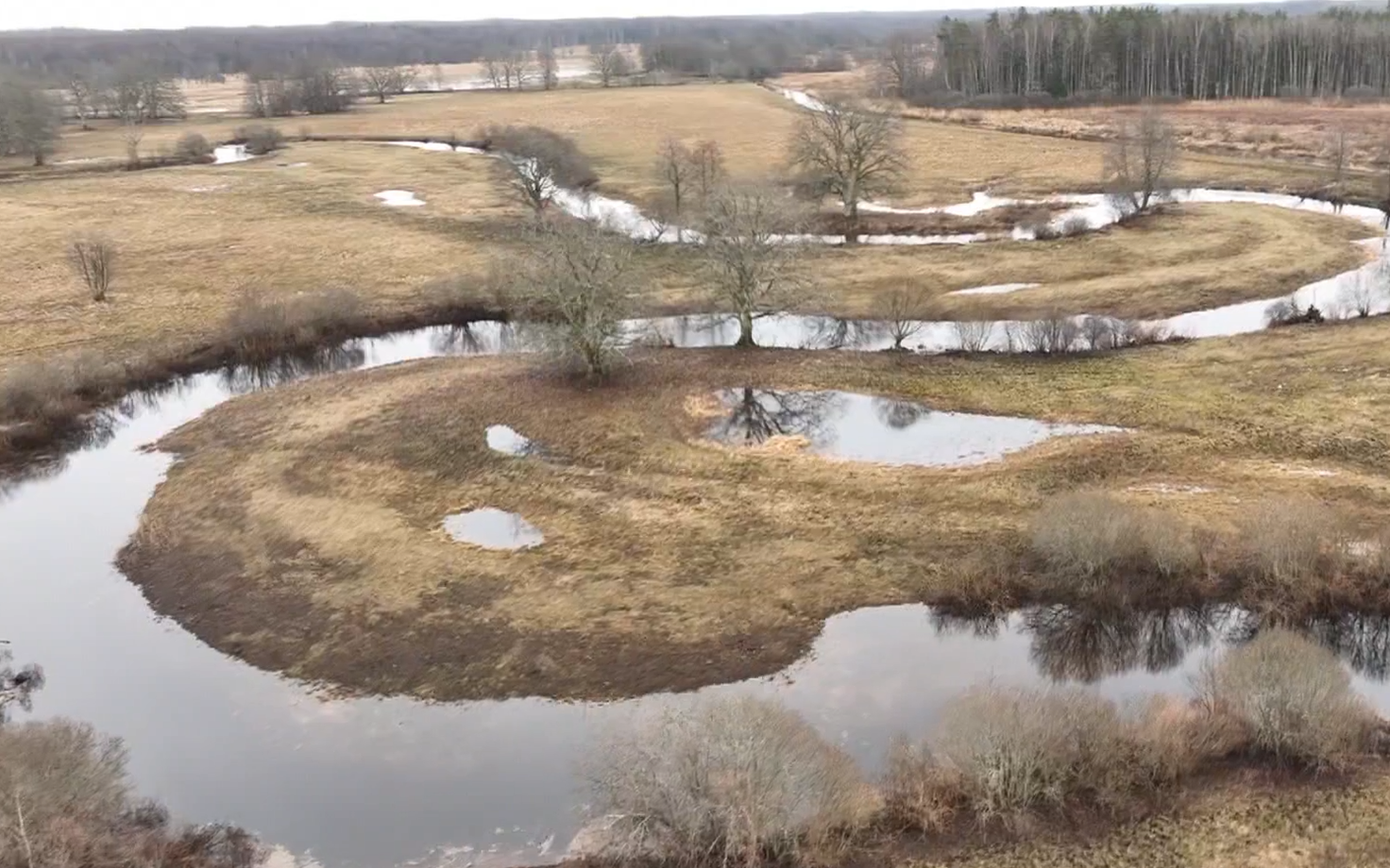 В этом году по лугам Соомаа на каноэ особо не покатаешься.