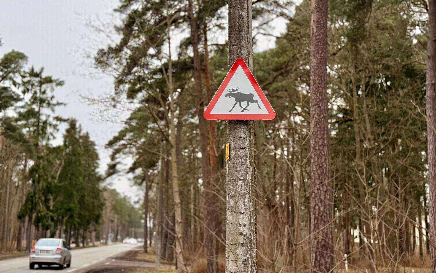 Предупреждающий знак на Козе теэ в Пирита.