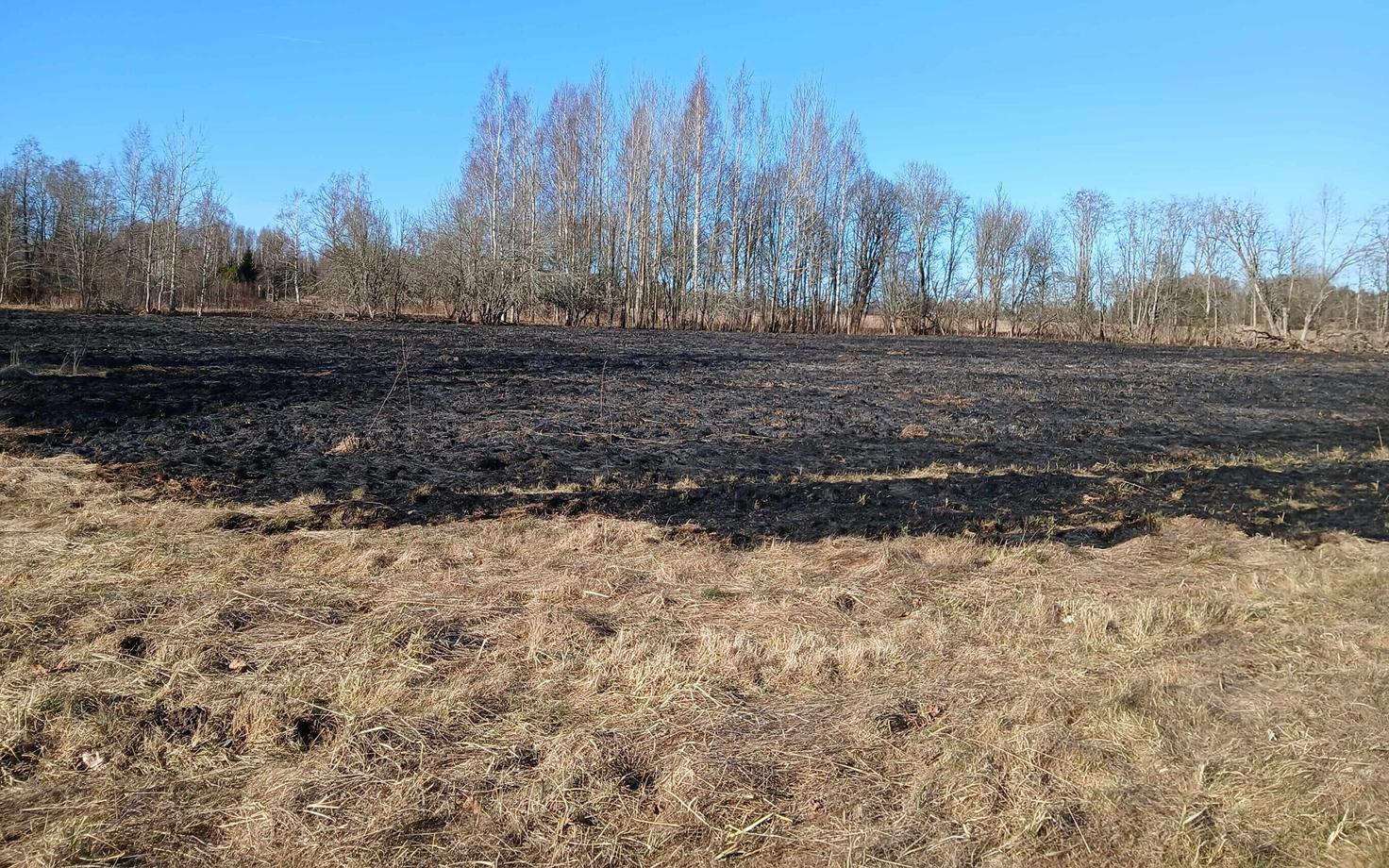 Место после пожара в волости Тырва.