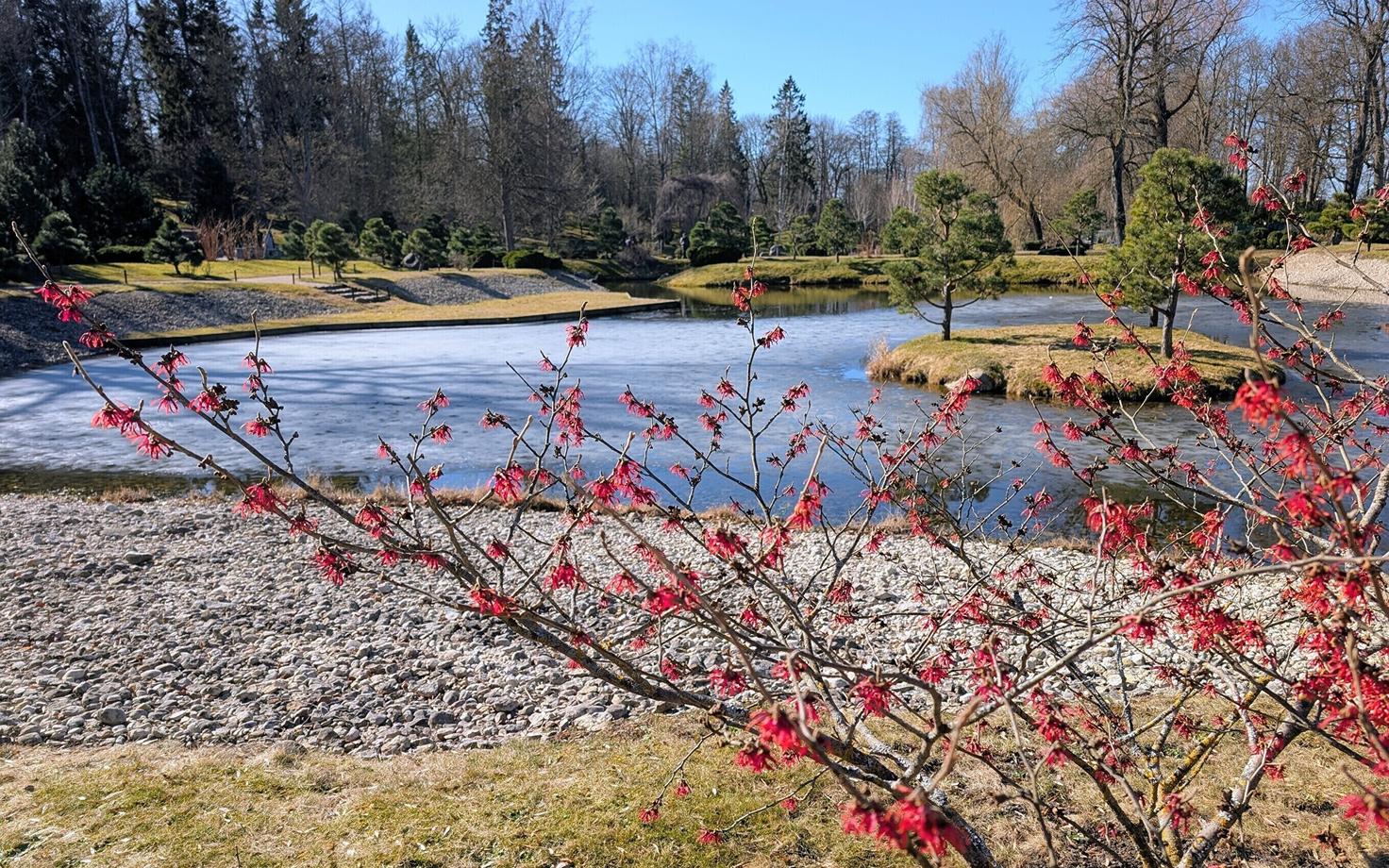 Весна в Кадриорге.