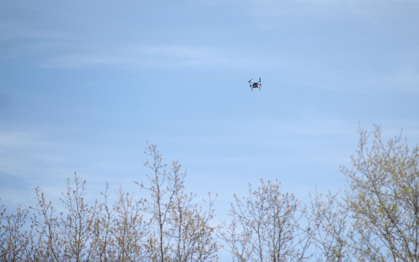 Дрон. Иллюстративная фотография.