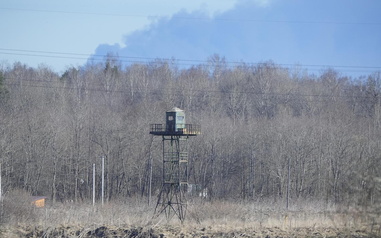 Из Нарвы виден дым от пожара в порту Усть-Луга