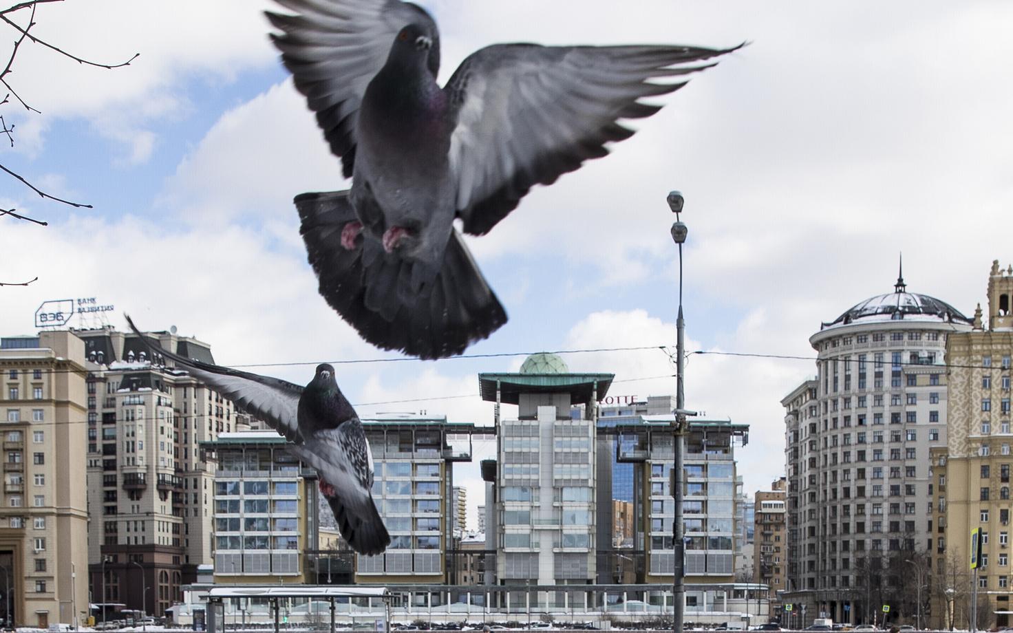 Посольство Великобритании в Москве.