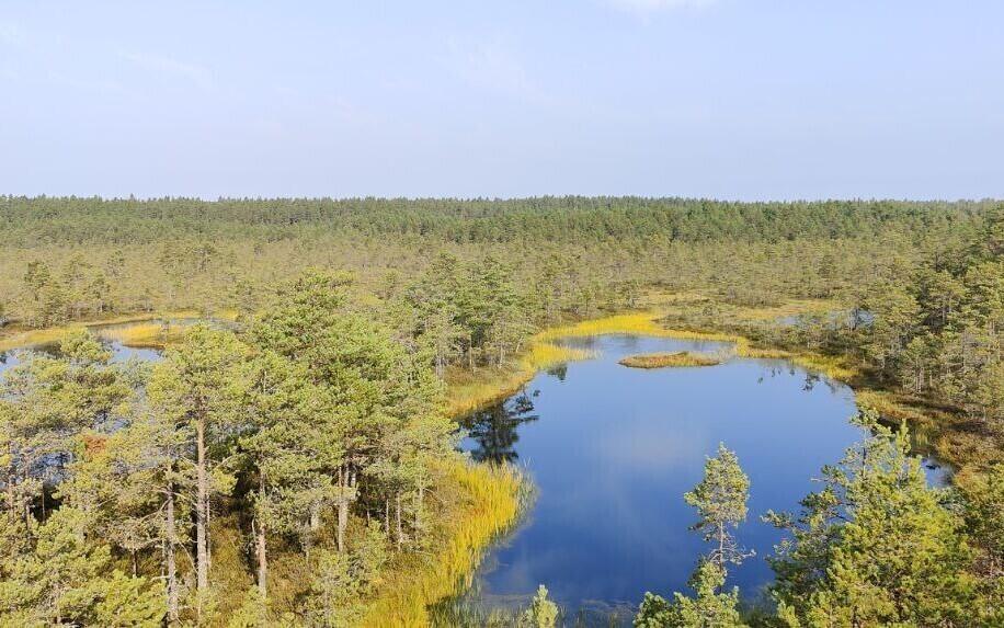 76% респондентов признают важность биологического разнообразия.