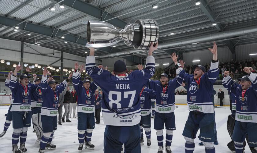 Хоккеисты рижского